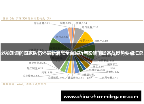 必须知道的国家队伤停最新消息全面解析与影响前瞻备战形势要点汇总